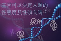 基因可以決定人類的性態度及性傾向嗎?