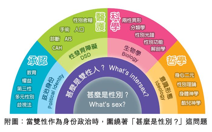 雙性人的身份政治 明光社