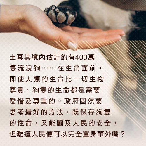 alt_text