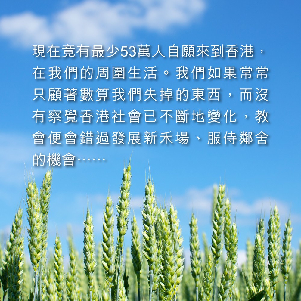 alt_text
